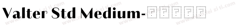 Valter Std Medium字体转换